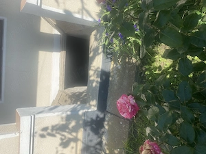 Vând casă în Ghirdoveni Dambovita  - imagine 3