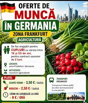 Se caută 3 persoane imediat la munca  - imagine 2