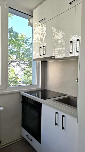 Apartament 2 camere semimobilat, confort 1, decomandat (PB), finisaje de calitate, Iosia  - 350 euro - imagine 9