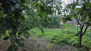 Casă cu potențial, 4 camere, lângă pădure-Jud Giurgiu-Mihai Bravu. - imagine 8