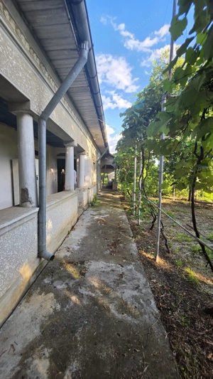 Casă cu potențial, 4 camere, lângă pădure-Jud Giurgiu-Mihai Bravu. - imagine 3