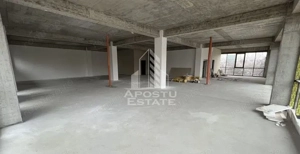 Spatiu comercial 1000 mp utili+ 15 locuri parcare,  zona Torontalului