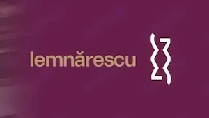 MONTATORI Mobilier Lemnărescu  - imagine 2