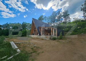 Cabană la roșu în Comuna Lupșa – Ideală pentru casă de vacanță sau investiție - imagine 6