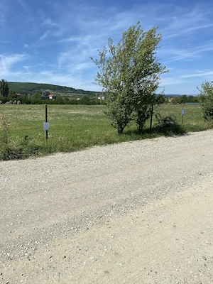 23 euro , intravilan Petresti