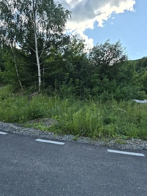 Vând teren cabană intravilan  zonă superba  8. 5 ari - imagine 5