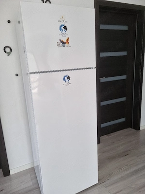 Vand frigider arctic 