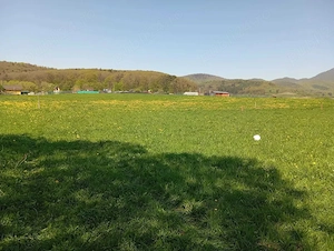 Teren extravilan 1.000 mp. Vulcan, Brasov - Ideal pentru grădină sau relaxare - imagine 2