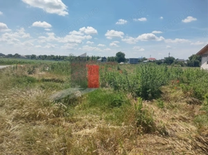 Vânzare 2 loturi de casă Dobreni Giurgiu - imagine 4