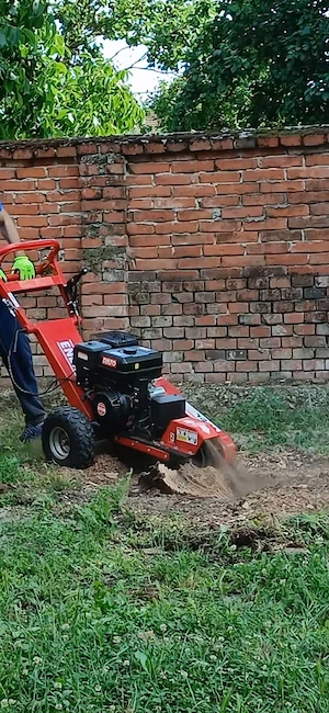 Frezăm buturugi și rădăcini fără săpături! Scapă rapid de buturugile inestetice din curte!
