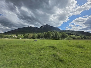 SUPERB ! 18.888    INVESTITIE !  Teren intravilan 440 mp | Plaiul Foii, Zărnești, Brașov