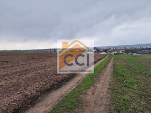 Teren 10,000mp Bacau / Strada Alexandru Safran - imagine 3