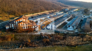 Fosta Ferma a Partidului de la Horgesti - de vanzare - imagine 15