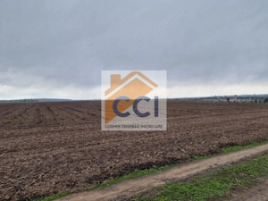 Teren 10,000mp Bacau / Strada Alexandru Safran - imagine 8