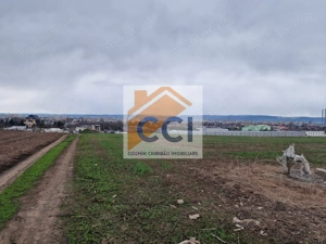Teren 10,000mp Bacau / Strada Alexandru Safran - imagine 6
