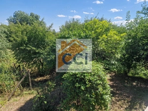 Casa in mediu rural cu teren - imagine 18