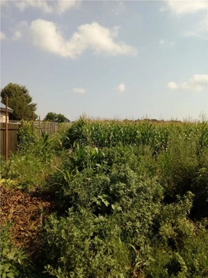 Teren, Zapodia,Traian Bacau