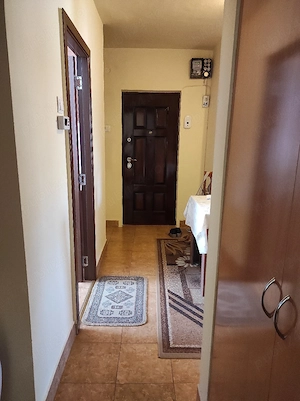 Ap 3 camere dec pe str.Carpati - imagine 13