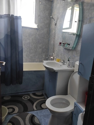 Ap 3 camere dec pe str.Carpati - imagine 8