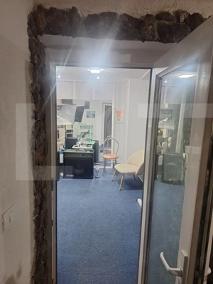 Penthouse, 110 mp, zona Lugoj - imagine 6