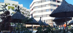 Mamaia nord Peco volt