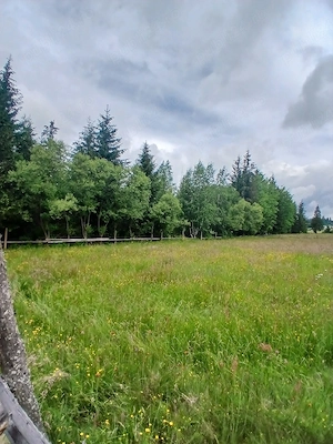 6000 mp teren extravilan 