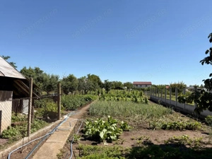 Casă 90 mp, teren de 2.174 mp, zona Coșoveni  - imagine 10