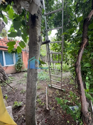 Casa cu potential investitional | Zona Iosefin 200 mp utili 199.000 E - imagine 13