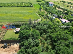 Teren pentru vile in centrul orasului Costesti, 3000 mp - imagine 12