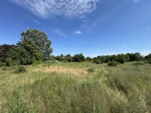 Teren 2936 mp Clinceni Ordoreanu | Langa Padure | Toate utilitatile | împărțite 