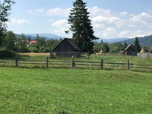 Teren de vis 10.000 mp intravilan în Neagra Șarului, la doar 15 km de Vatra Dornei   - imagine 4