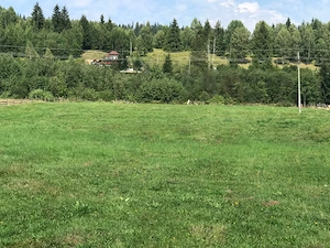 Teren de vis 10.000 mp intravilan în Neagra Șarului, la doar 15 km de Vatra Dornei   - imagine 6