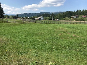 Teren de vis 10.000 mp intravilan în Neagra Șarului, la doar 15 km de Vatra Dornei   - imagine 7