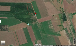 Teren agricol Tulcea 5 ha (extravilan)