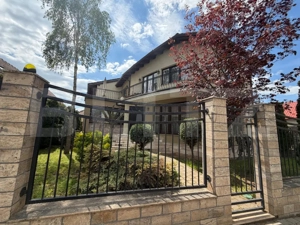 Casă individuală, 330 mp, zona Centrală – Strada Gheorghe Doja, Alba Iulia - imagine 2