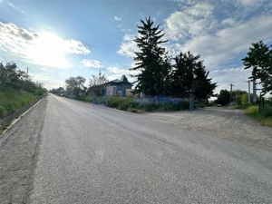 Hale Deleni de inchiriat, de la 300mp la 1144mp, negociabil - imagine 3