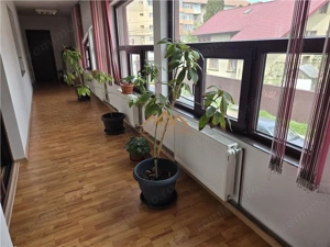 Spatiu Comercial | Birouri | 300mp - imagine 3