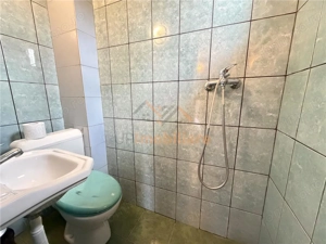 PENSIUNE 20 CAMERE | ZONA SANMARTIN | BIHOR | ACCES DIN E79 - imagine 19