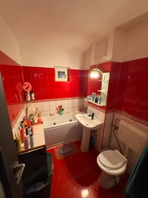 Apartament  2 camere, 49 mp, Lapus, Electroputere Mall - imagine 11