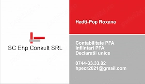 Declaratii unice Timisoara, contabilitate PFA Timisoara, infiintari PFA Timisoara