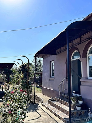 Vand casa Arginesti  - imagine 3