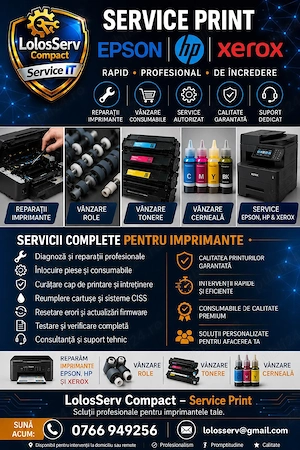 Instalare & Configurare reparați Print Scan