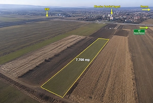Teren agricol 7.700 mp Iugani, lângă E85 și Nodul A7 Roman, ideal investiție sau arendă