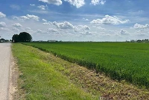 Teren Moara Vlasiei 5000 mp extravilan la sosea