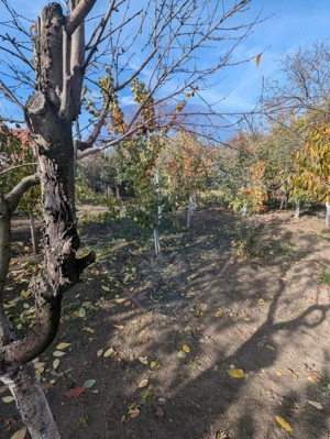 Casă / Vilă cu 5 camere de vânzare în zona Sud - imagine 4
