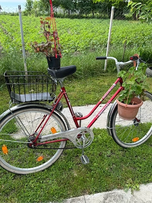 MTB Cannondale26 aluminiu,24 viteze shimano, frane disc , Suceava 900ron 