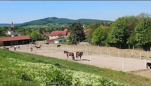 Angajez muncitor la ferma de cai in Austria 1700 