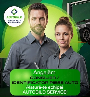 Consilier daune si identificare piese auto