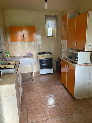 Vinzare casa plus teren comuna Ulmi, jud.Giurgiu - imagine 3