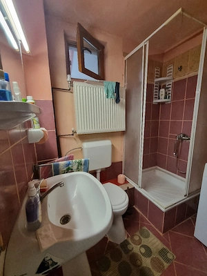 Casa familiala, constructie mai noua, Buziaș - imagine 10